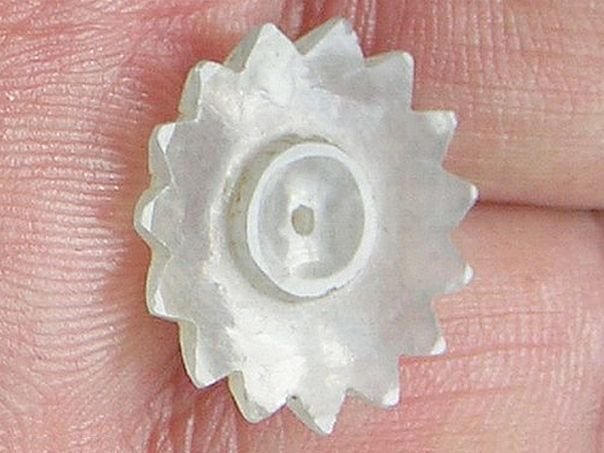 Agate flower with a corona – (3848)